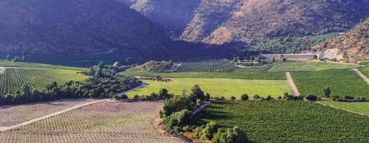 Cachapoal Valley 2024