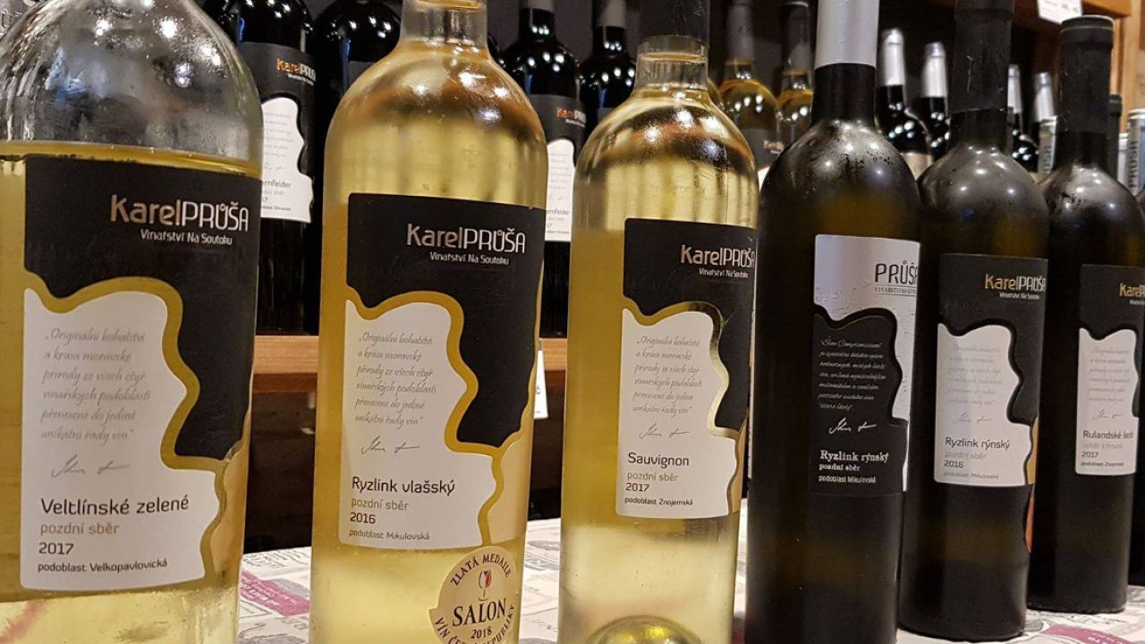 Degustace moravských vín a setkání s vinařem Vinařství Na Soutoku