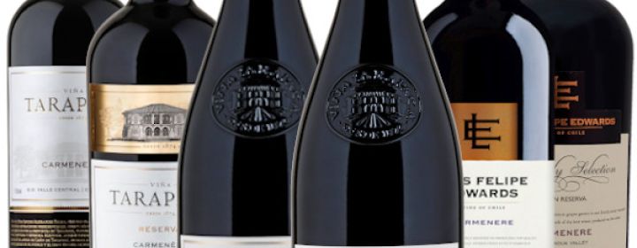 Online Degustace po stopách Carmenere a něco navíc 4. 3. 2021