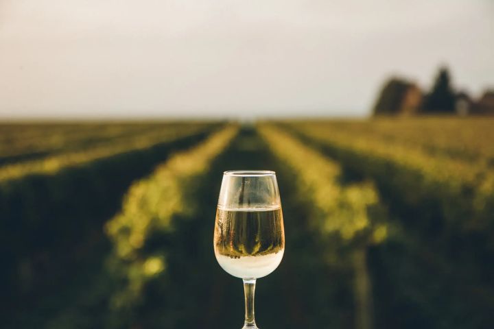 Vinařská země Austrálie
